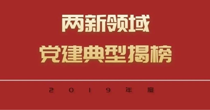 2019年度两新领域党建典型揭榜 网龙党委上榜